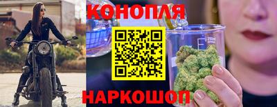 эйфоретик Можга
