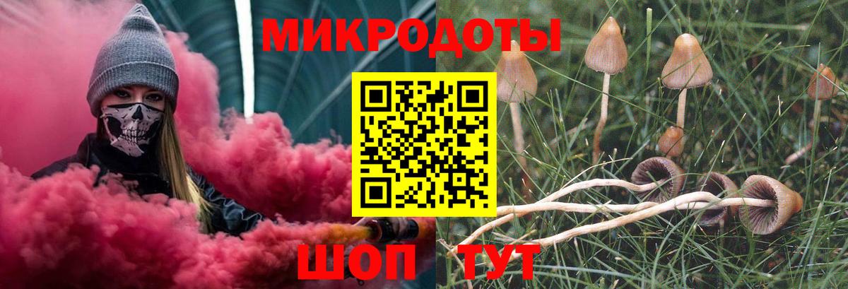 как найти закладки  Вход с VPN  Сызрань  Псилоцибиновые грибы Cubensis 